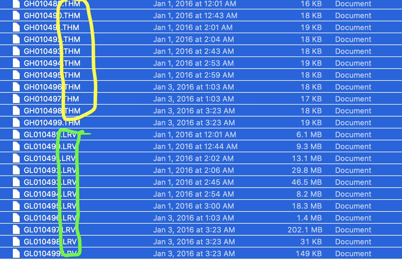 GoPro LRV and THM File Format App Corridor